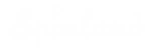Spinland